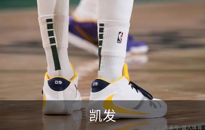 凯发简介